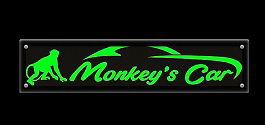 Monkey's Car - image