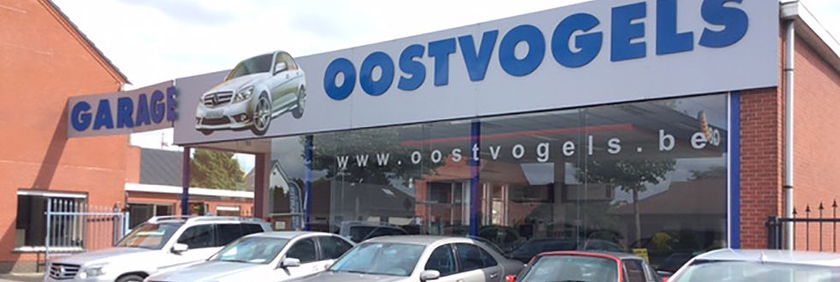 Roland Oostvogels - image