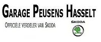 logo Garage Peusens