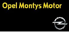 logo Garage Montys Motor SPRL