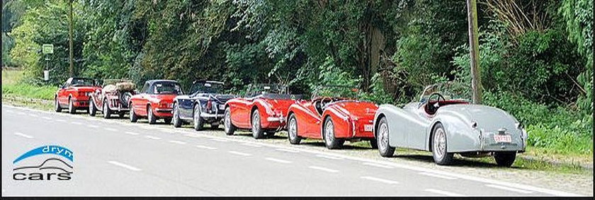 Drym Cars BV - image