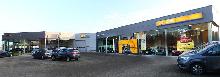 Group Pashuysen MG Tienen - image