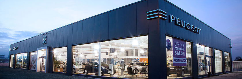 Ricco Peugeot - DS Store - image