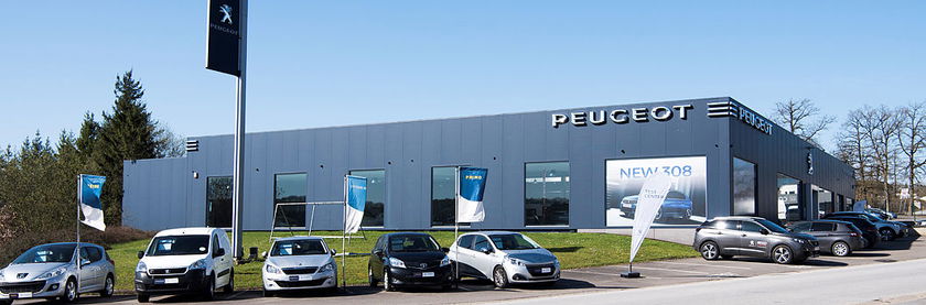 Ricco Peugeot - image
