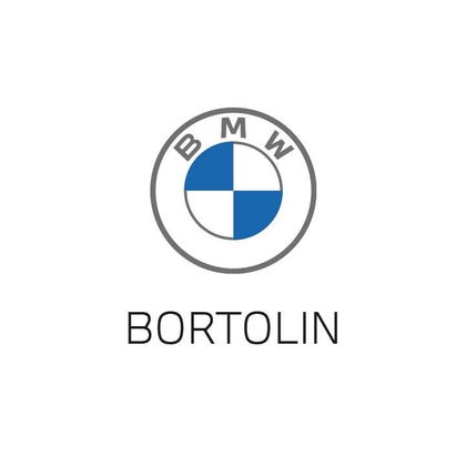 logo  Bortolin Huy (used)