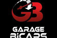 logo Bicars