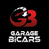 logo Bicars