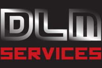 logo DLM SERVICE