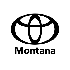 Toyota Montana à Sterrebeek