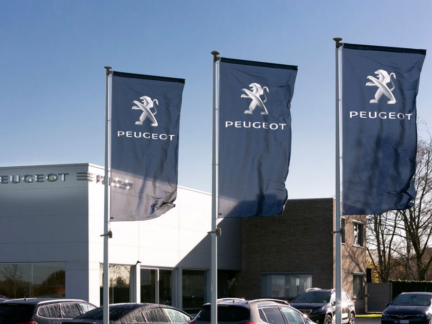 Demeersseman - image