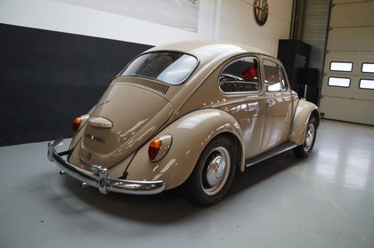 Volkswagen Beetle Beautiful Driver Restored (1967)