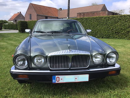 Jaguar  XJ12