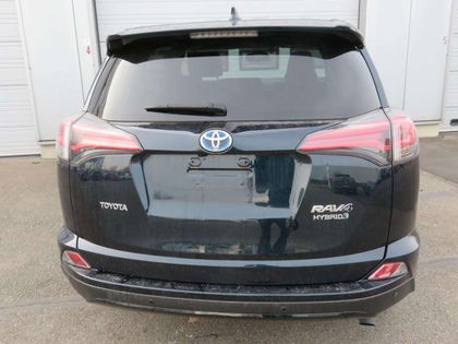 Toyota RAV4 Comfort & Black Edition