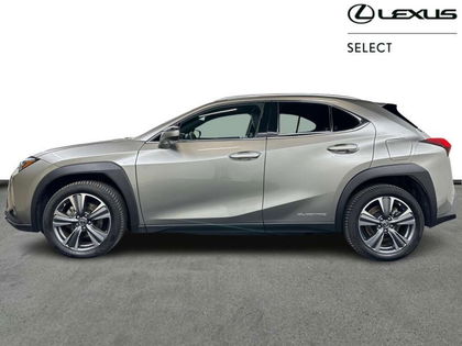 Lexus UX 300e Privilege Line