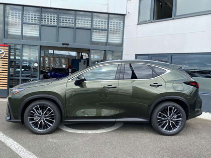 Lexus NX 350H Privilege Line STOCK - NEUF